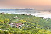 Italy, Piedmont, Cuneo district, Colline del Barolo, Langhe, La Morra, Nebbiolo Vineyards on the hills in near La Morra