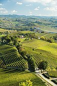 Italy, Piedmont, Cuneo district, Colline del Barolo, Langhe, Novello, Panoramic view of the vineyards near Novello