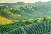 Italy, Piedmont, Cuneo district, Colline del Barolo, Langhe, Barolo, View towards vineyards and the hills, Barolo village in background