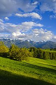 Italy, Trentino-Alto Adige, Trento district, Alps, Dolomites, Val di Fiemme, Landscape at Ganzaie locality near Daiano