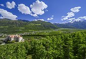 Italy, Trentino-Alto Adige, Bolzano district, Alps, Venosta Valley, Castelbello-Ciardes, The Castelbello castle toward the Venosta valley in background