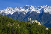 Italy, Trentino-Alto Adige, Bolzano district, Alps, Venosta Valley, Sluderno, The Coira castle and the Stelvio mountains in background