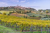 Italy, Tuscany, Siena district, Val d'Elsa, San Gimignano, View of San Gimignano