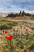 Jordan, Jerash, Jerash, The South Decumanus in spring Jerash, known as Gerasa in Roman times, is a witness of the Roman provincial towns' structure in the Middle East