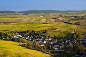 France, Centre, Chavignol, Cher, The Chavignol village, surrounded by vineyards, in autumn