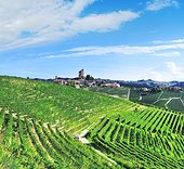 Italy, Piedmont, Cuneo district, Langhe, Serralunga d'Alba, Village and vineyards