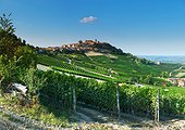 Italy, Piedmont, Cuneo district, Langhe, La Morra, Village and vineyards