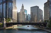 United States, Illinois, Chicago, Lake Michigan, Tribune tower and the Wrigley building overlooking the Chicago River