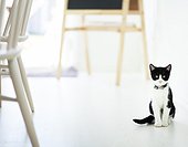 Black and white kitten sitting