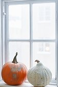 Pumpkins on window sill