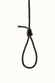 Tied noose against white background