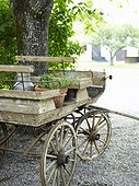 Flower pots on old wagon