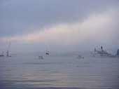 Boats in fog, Saltsjon, Stockholm, Sweden