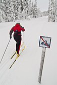 Woman cross country skiing during winter