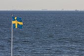 Swedish flag by sea