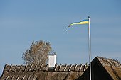 Cottage roof with flag