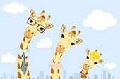 Happy giraffe family
