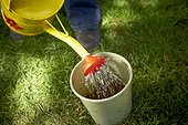 Watering Soil in Bucket, Bradford, Ontario, Canada