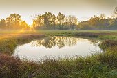Pond in misty meadow with golden morning light at sunrise in Autumn in Hesse, Germany