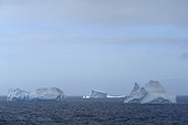 Icebergs floating in the Antarctic Sound on an overcast day at the Antarctic Peninsula, Antarctica