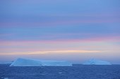Icebergs on the Antarctic Sound at sunrise at the Antarctic Peninsula, Antarctica