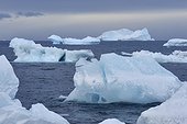 Icebergs and large pieces of ice at Brown Bluff at the Antarctic Peninsula, Antarctica