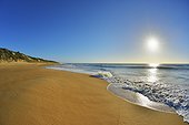 Surf breaking on the shoreline of Ninety Mile Beach at Paradise Beach with the sun shining over the ocean in Victoria, Australia