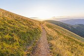 Trail through the Vosges Mountains on Le Hohneck at Stosswihr with the monring sun shining over the mountain side in Haut-Rhin, France