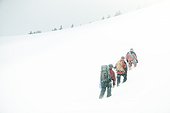 3 mountaineers in the swizz alpes, rear view, on a hike/ climb in winter time, snowy surroundings