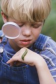 Caucasian boy examining caterpillar with magnifying glass