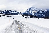 A snowy road in Yellowstone.