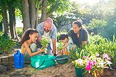 Happy family planting flowers in sunny summer garden