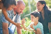 Happy family high-fiving, planting flowers in summer garden