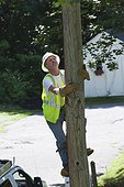 Lineman climbing a pole for installation