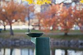 Water fountain in a park, Boston Esplanade, Boston, Massachusetts, USA