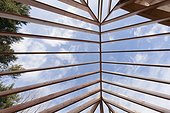 Low angle view of hip roof rafters viewed toward sky