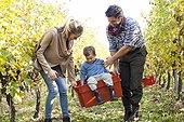 Mother and father carrying their son in red box through vineyard