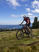 Mountain biker cycling on single trail on Ringelbuhlkopf, Alsace, France