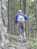Rear view of senior man walking in Middle Black Forest, Baden-Württemberg, Germany