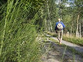 Rear view of senior man walking in Middle Black Forest, Baden-Württemberg, Germany