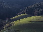 Farmhouse and field at Black Forest, Baden-Württemberg, Germany