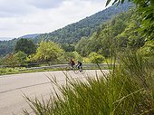 Two men riding racing bicycle on cycling tour in the Black Forest, Germany