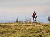 Man riding racing bicycle on cycling tour in the Northern Black Forest, Germany