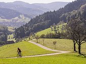 Man riding racing bicycle on cycling tour in the Northern Black Forest, Germany