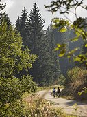 Two men riding racing bicycle on cycling tour in Black Forest, Baden-Württemberg, Germany