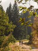 Two men riding racing bicycle on cycling tour in Black Forest, Baden-Württemberg, Germany