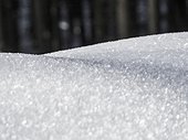 Close-up of snow crystals, Valley of Yach, Elzach, Black Forest, Baden-Württemberg, Germany