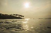 Silhouette of man surfboarding in the Indian ocean, Sri Lanka