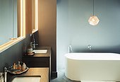 Modern home showcase interior bathroom with soaking tub