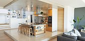 Modern home showcase kitchen